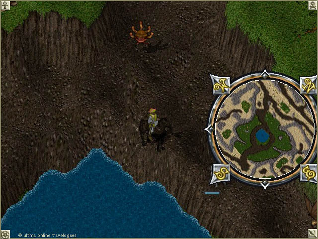 Oasis