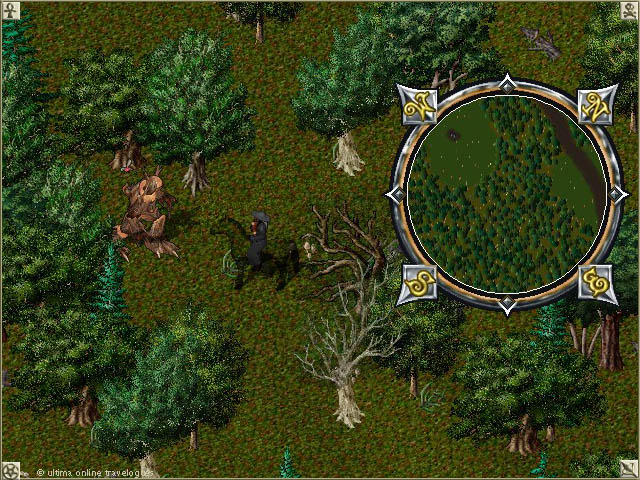 Living Forest